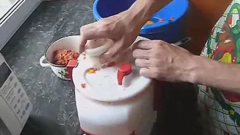 Соковыжималка Садовая