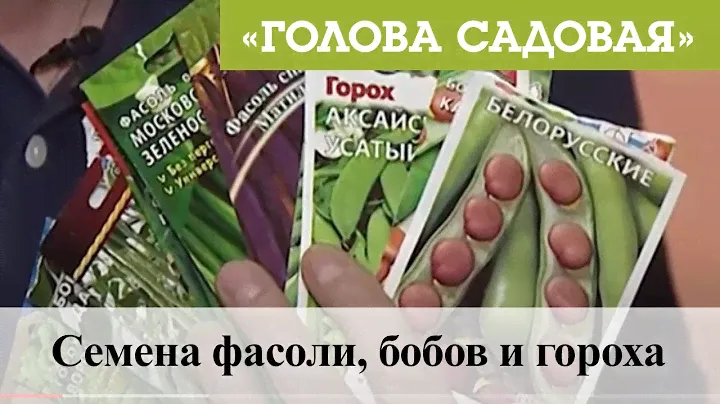 Голова садовая - Семена фасоли, бобов и гороха
