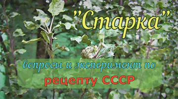 "СТАРКА" по советскому рецепту. Есть вопросы, экспериментирую.