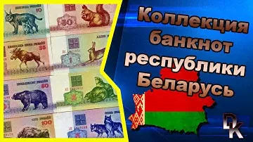 Коллекция банкнот Республики Беларусии 🇧🇾/ Republic of Belarus banknotes collection 🇧🇾