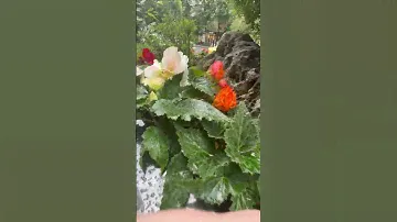Метро Белорусская, Москва