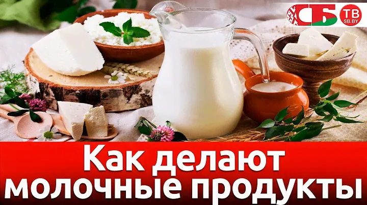 Как делают натуральные молочные продукты | Сделано в Беларуси