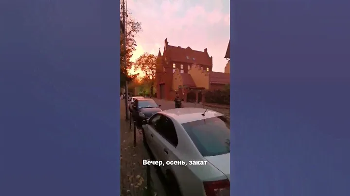 Белорусский  трикотаж.Терракотовое платье в горох на пуговицах спереди. Р-ры до 58.Ссылка в описании