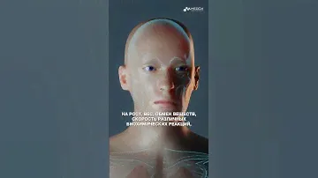 Почему щитовидная железа важный орган?