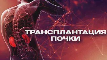 Трансплантация почки в НИИ урологии и интервенционной радиологии имени Н.А. Лопаткина.