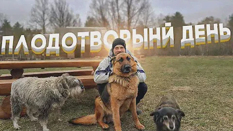 Строим дом на дереве и устанавливаем электропастух .Распаковка посылки из Германии.