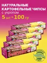 Чипсы картофельные натуральные со вкусом чеснока белорусские Мира / хрустящие пластинки, набор закусок к пиву / набор 5 упаковок по 100 г