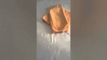 гостиница Гомель