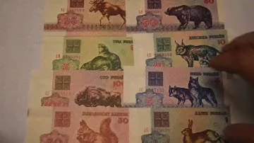 Обзор 50 копеек, 1,3,5.10,25,50,100 рублей 1992 года Беларусь(Зайчики)