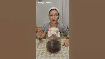 ПЬЕМ ИЗ БОЧКИ ПЕНИСТЫЙ КВАС/ ВКУСНЫЙ ДОМАШНИЙ ХЛЕБНЫЙ КВАС ИЗ СУХАРЕЙ@obovsemsmarusya @-MarusyaShorts-​