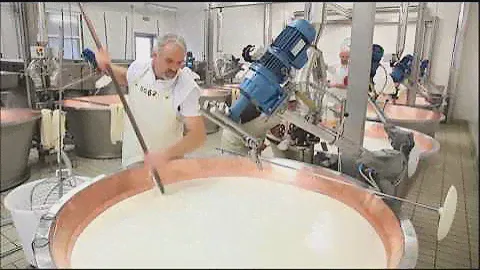 Производство сыра: Пармезан - итальянские сыры Made in Italy