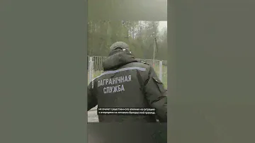 8ha941n0r3_4ib0q1xysk.mp4