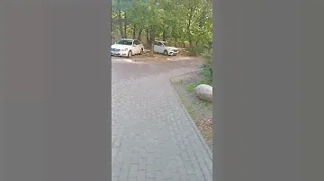Беларусь,  парковка и стоянка на газонах