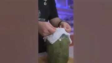 Лучший освежающий напиток // Домашний квас