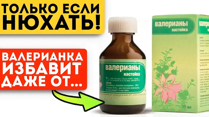 Забытые методы! Вот как обычная валериана поможет при давлении, запоре, гепатите и даже…