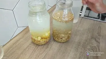 Овсяный и ячменный квас