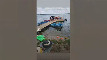 Беларусь база отдыха Лесной рай приглашает