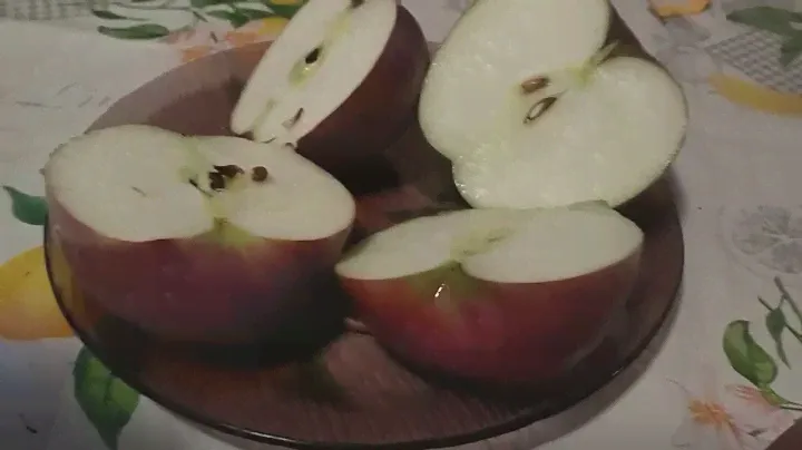 Зорка и Имант.