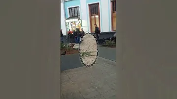 На Белорусском вокзале птичий базар)))