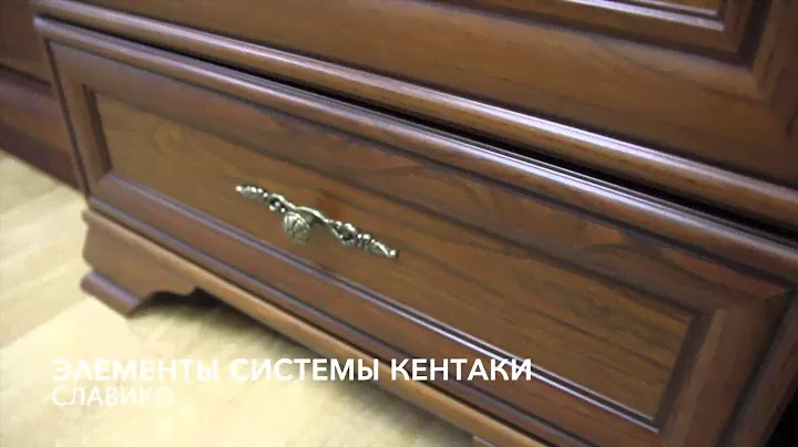 Элементы системы Кентаки
